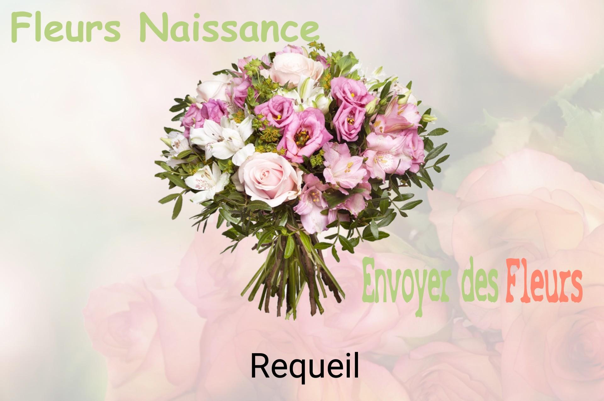 Bouquet de fleurs de naissance livré à Requeil