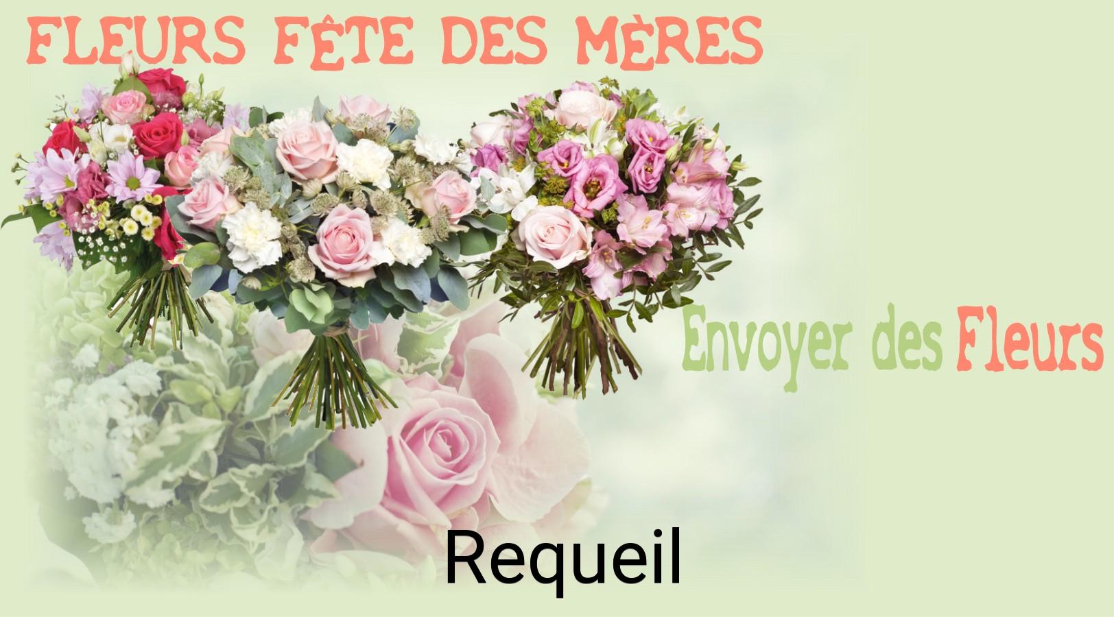 Bouquet de Fête des Mères livré à Requeil